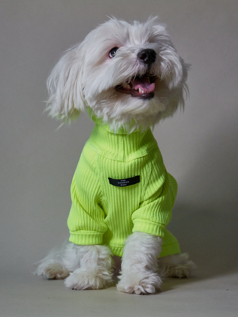 Neon Green Ribbed Turtleneck Sweater for Dogs – The Striped Dog