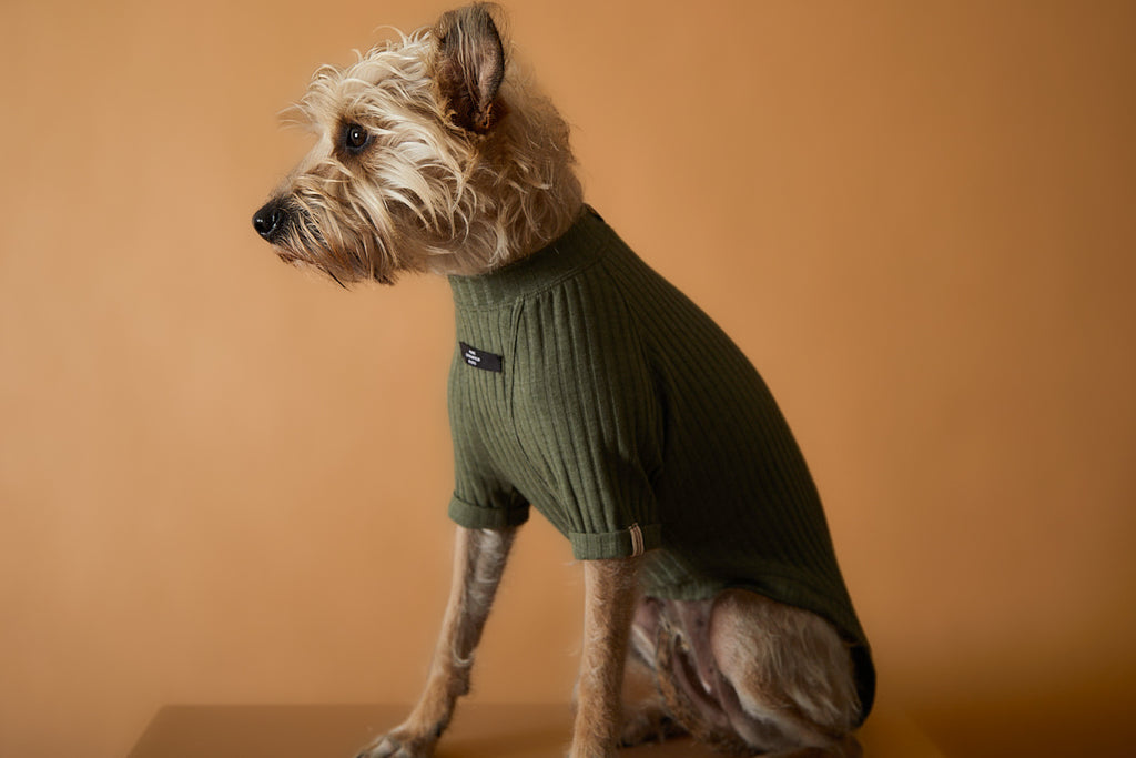 Green Ribbed T-shirt CLAIRE