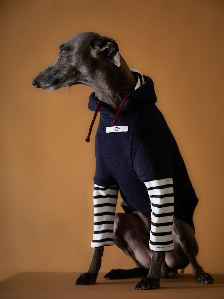 Italian Greyhound / Whippet Basic Hoodie with Striped Sleeves - PARIS