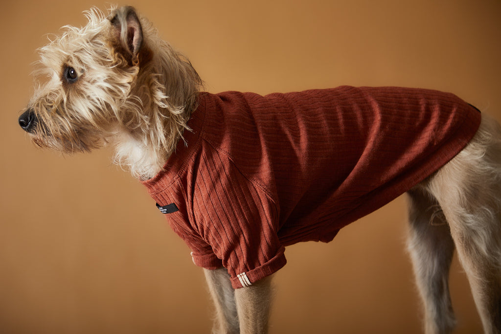 Terracotta Ribbed T-shirt CLAIRE