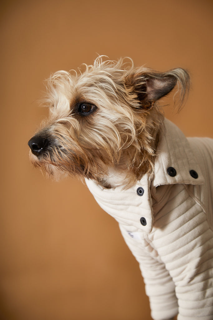 Dog sand quilted sweater