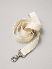Leash for Dogs