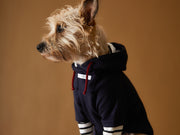 Cool blue sweater for dogs