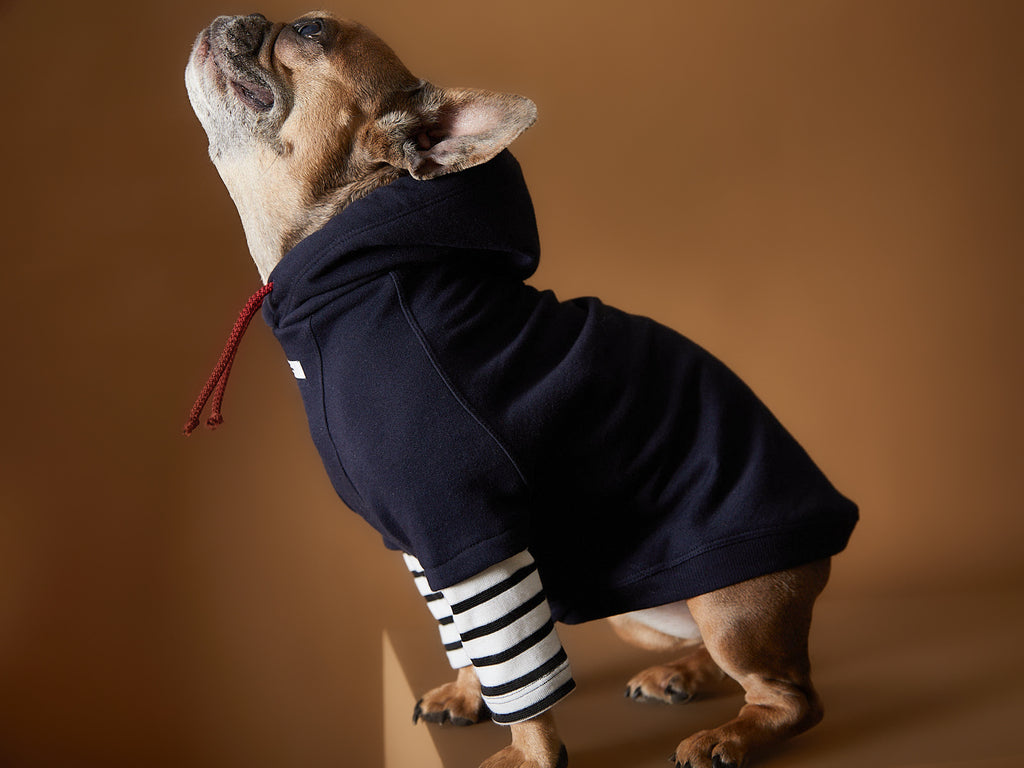Cool navy hoodie for dogs