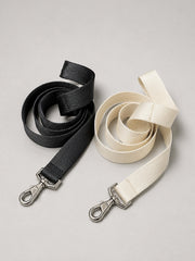 Leash for Dogs