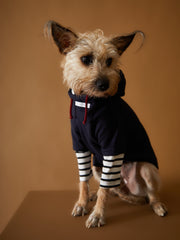 Dog clothing