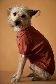 Terracotta Ribbed T-shirt CLAIRE