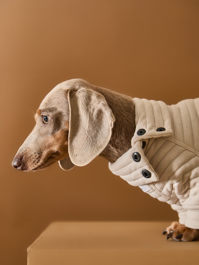 Dachshund Sand Quilted Turtleneck Sweater - PROVENCE