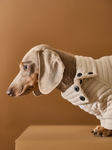 Stylish sand quilted sweater for Dachshunds