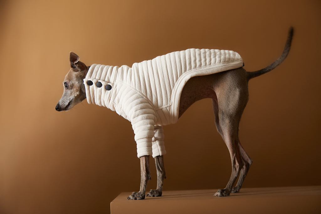 Stylish sand quilted sweater for Italian Greyhound and Whippet