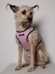 Standard Pink & Black Mesh Harness COBBLESTONE