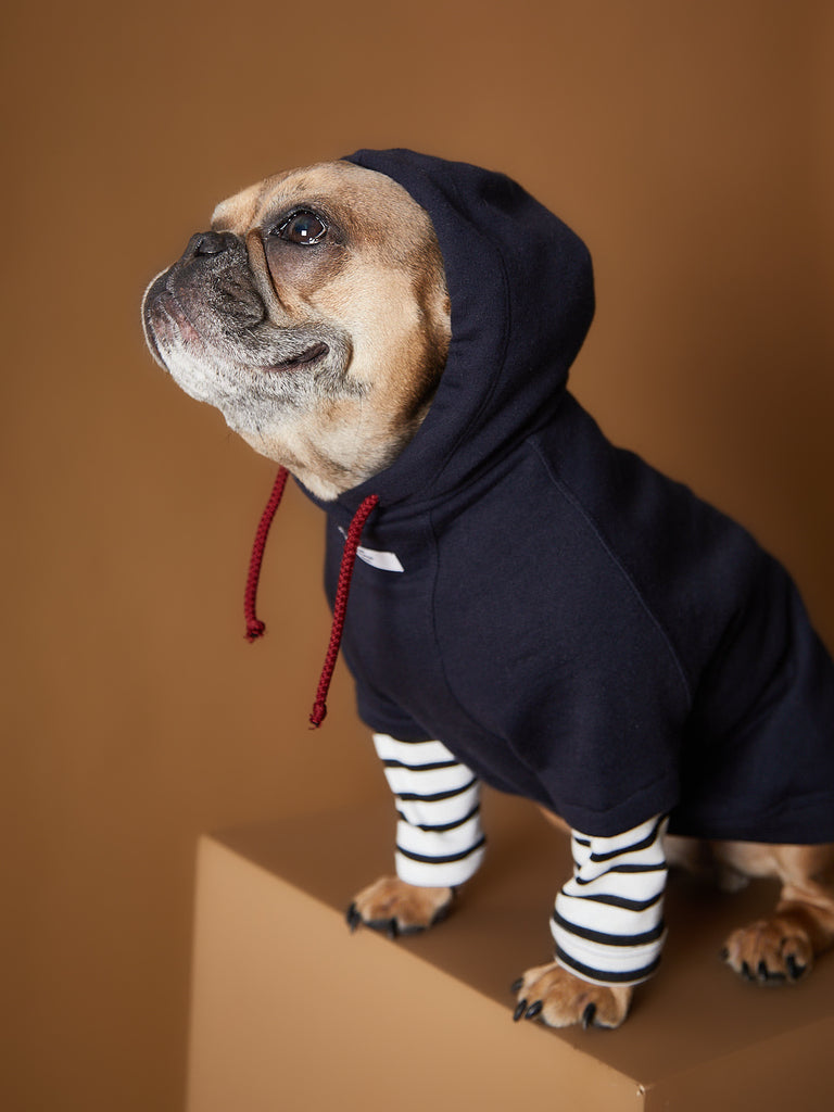 Cool navy hoodie for dogs