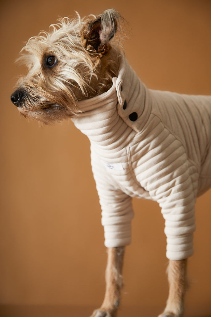 Sand quilted sweater for dogs