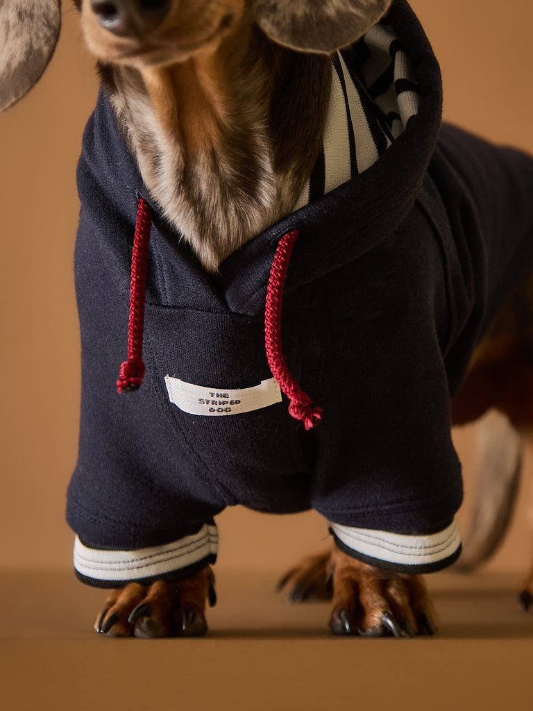Navy Sweater fod Dachshunds