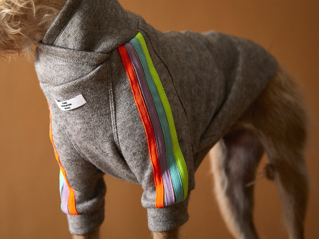 Grey dog sweater with neon stripes