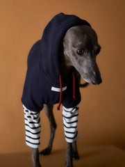 Cool navy hoodie for Iggies