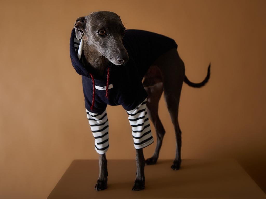 Italian Greyhound and Whippet navy hoodie 