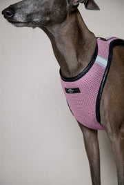 Italian Greyhound / Whippet Pink & Black Mesh Harness COBBLESTONE