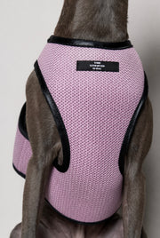 Italian Greyhound / Whippet Pink & Black Mesh Harness COBBLESTONE