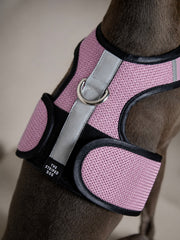 Italian Greyhound / Whippet Pink & Black Mesh Harness COBBLESTONE