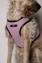 Standard Pink & Black Mesh Harness COBBLESTONE
