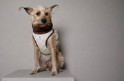 Standard Beige Quilted Turtleneck Harness GADE