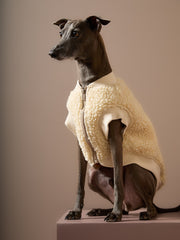 Italian Greyhound / Whippet Ivory Sherpa Vest MILAN