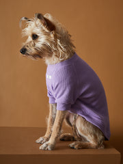 Lilac T-shirt BALZAC