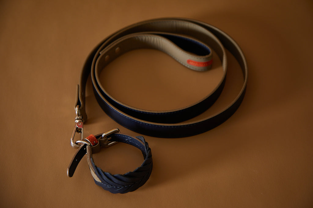 leather fishbone collar and leash for dogs