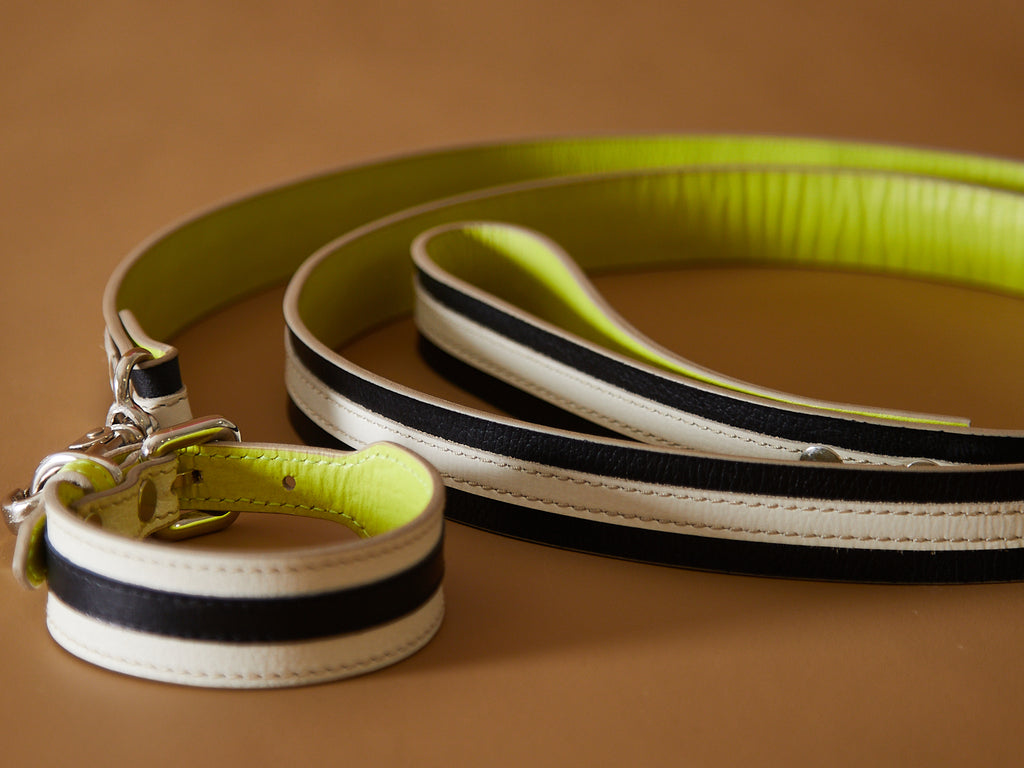 Leather collar and leash set for dogs