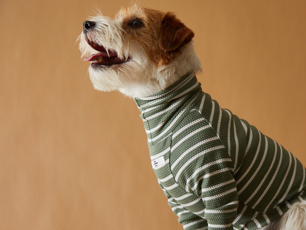 Green and White Striped Textured Turtleneck Sweater NOEL