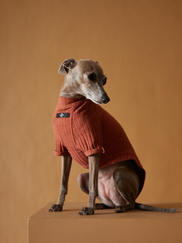 Italian Greyhound / Whippet Terracotta Ribbed T-shirt CLAIRE