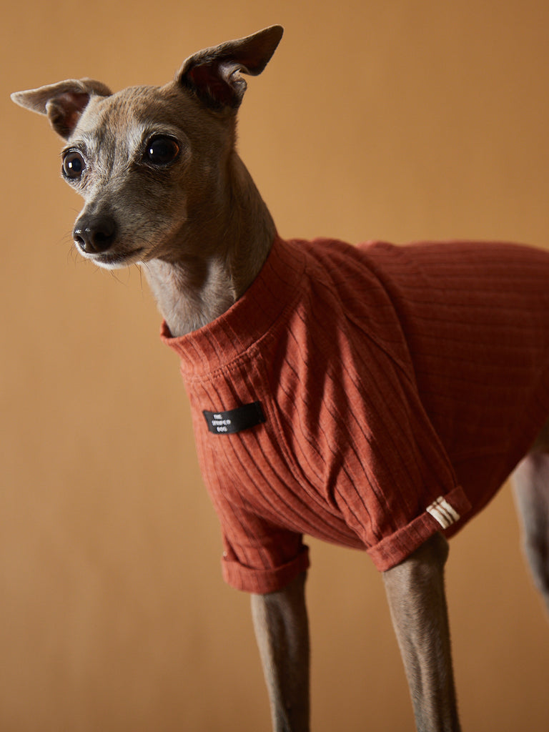 Italian Greyhound / Whippet Terracotta Ribbed T-shirt CLAIRE