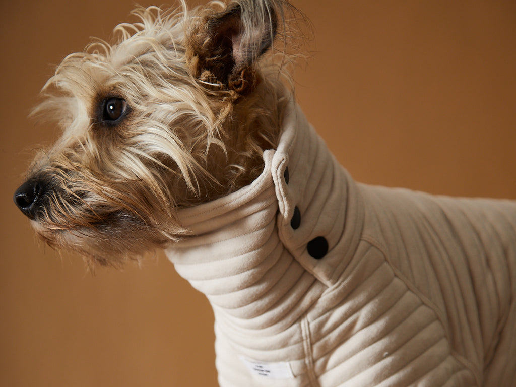 Stylish quilted sweater for dogs