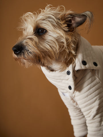 Dog sand quilted sweater