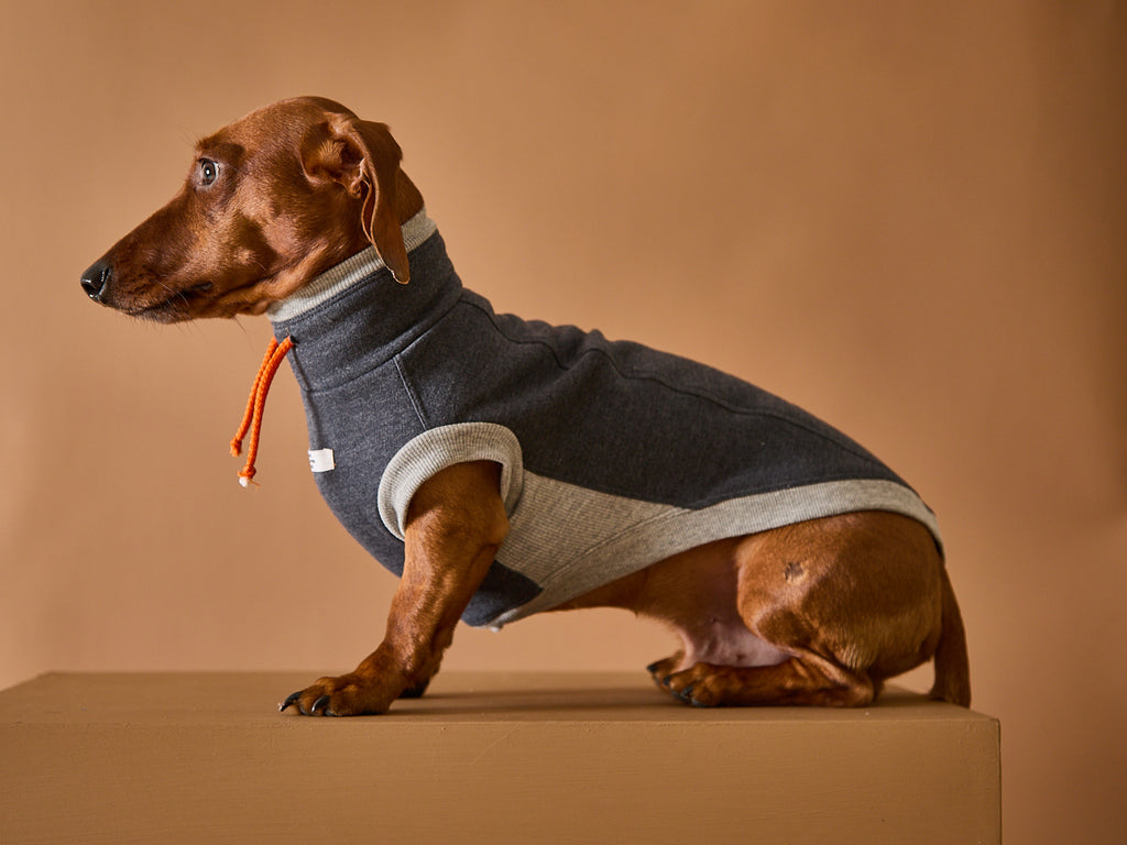 Dachshund Dark Grey Turtleneck Vest SOPHIE