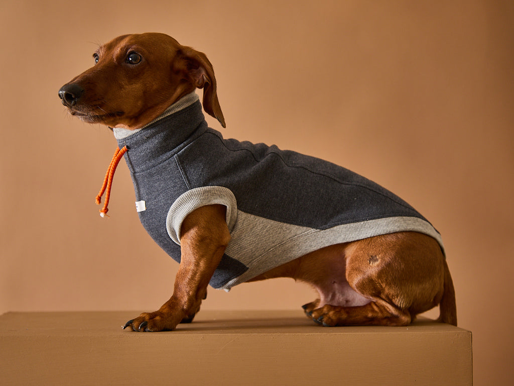 Dachshund Dark Grey Turtleneck Vest SOPHIE