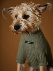 Green Ribbed T-shirt CLAIRE