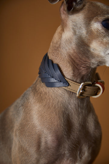 leather fishbone collar for dogs