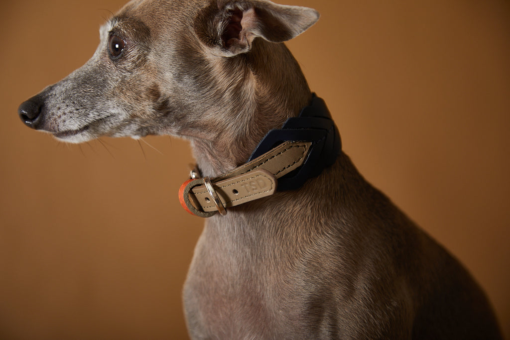 leather fishbone collar for dogs