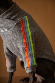 Grey sweater for italian greyhound and whippet