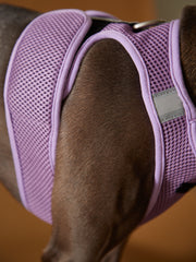Italian Greyhound / Whippet Lilac Neoprene Harness with Reflective Stripe CLAREMONT