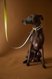 Leather Leash LUNE
