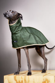 Italian Greyhound / Whippet Green Waterproof Hooded Cape PARAMOUNT