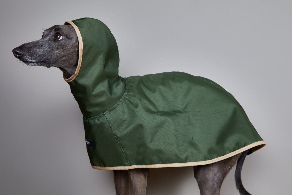 Italian Greyhound / Whippet Green Waterproof Hooded Cape PARAMOUNT