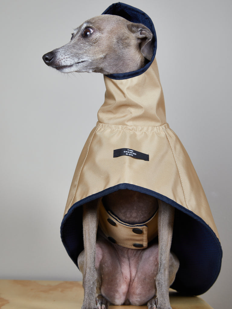 Italian Greyhound / Whippet Sand Waterproof Hooded Cape PARAMOUNT