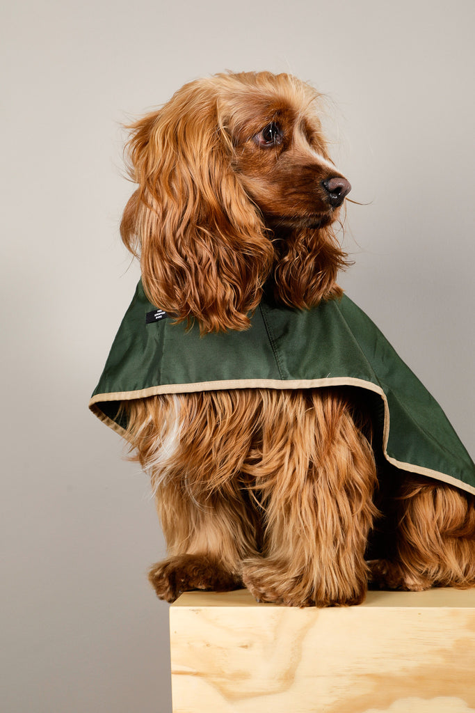 Green Waterproof Hooded Cape PARAMOUNT