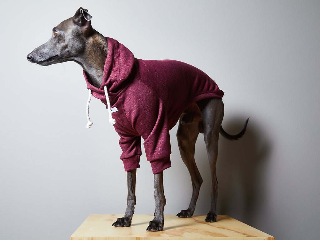 Italian Greyhound / Whippet Burgundy Basic Hoodie FONTANA