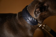 leather collar for dogs in fishbone design