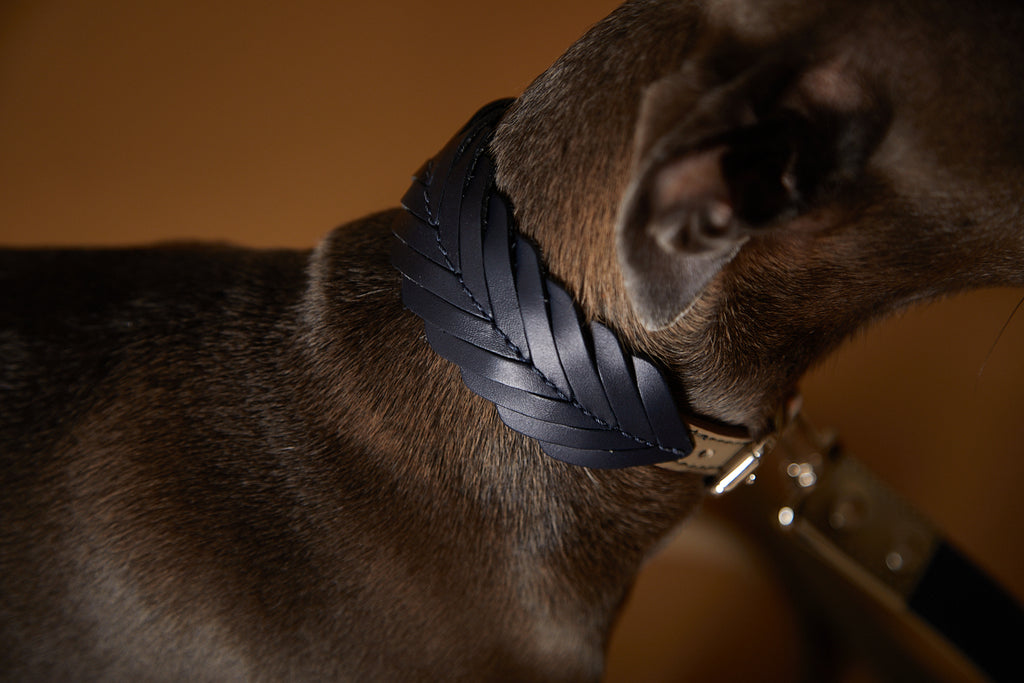 leather collar for dogs in fishbone design